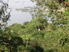 Pictures from Vietnam