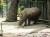 Pictures from Vietnam