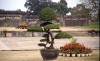 Pictures from Vietnam