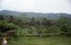 Pictures from Vietnam