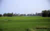 Pictures from Vietnam