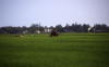 Pictures from Vietnam