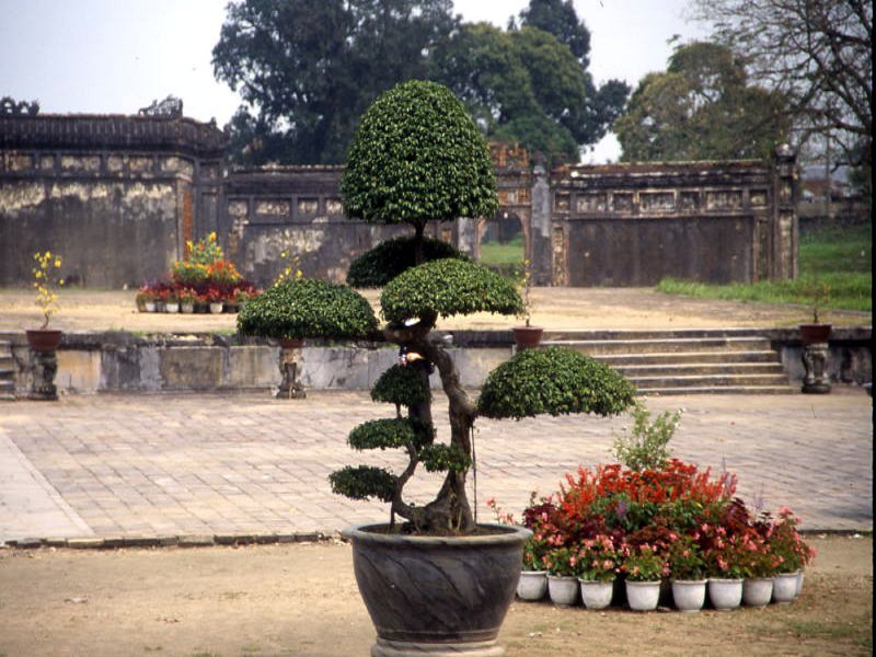 Pictures from Vietnam