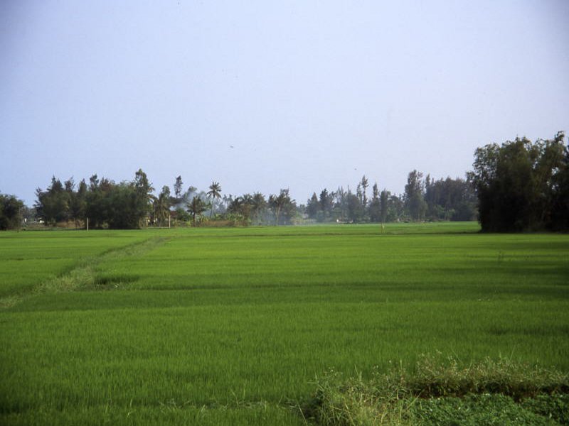Pictures from Vietnam