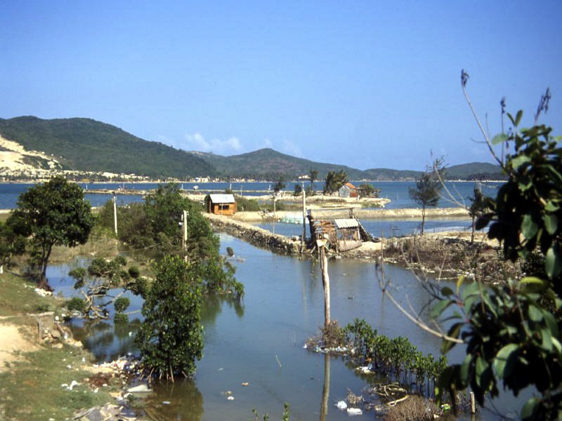 Pictures from Vietnam