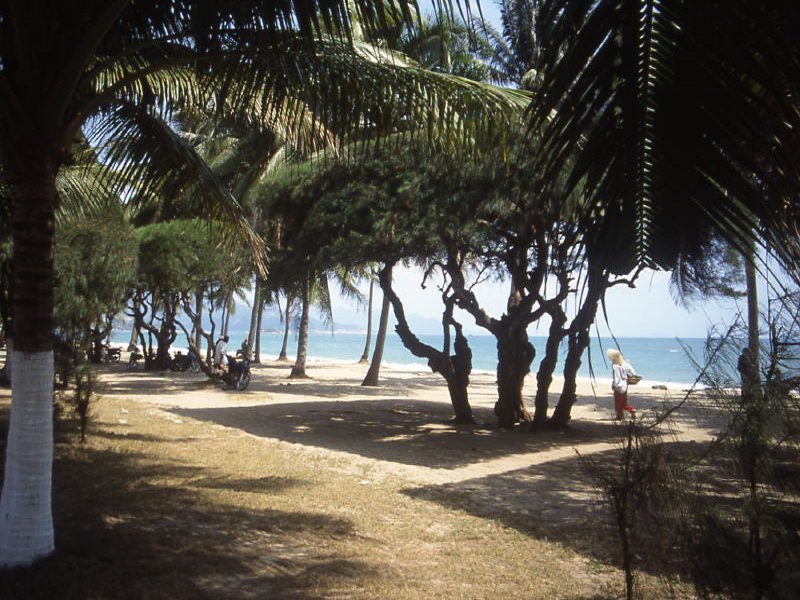 Pictures from Vietnam