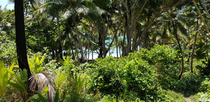 Pictures from Dravuni Island, Fiji