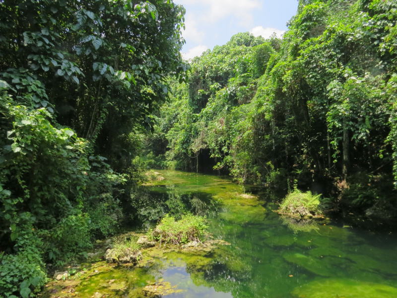 Pictures from Vanuatu, Port Vila