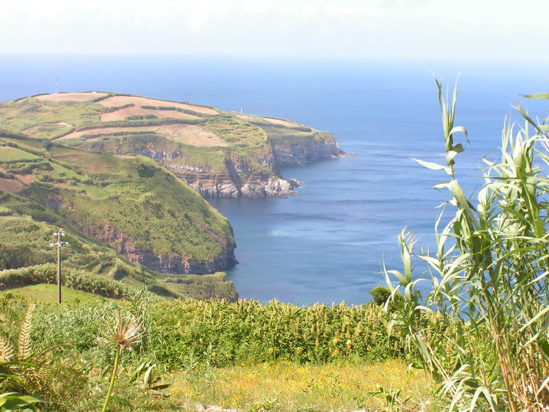 Pictures from the Azores