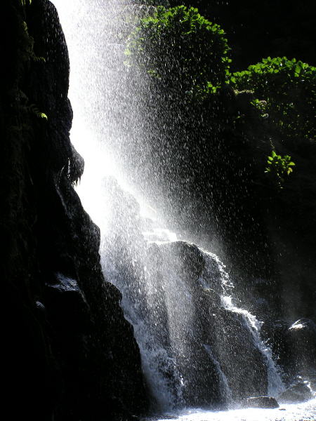 Pictures from the Azores