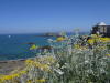 Pictures from France