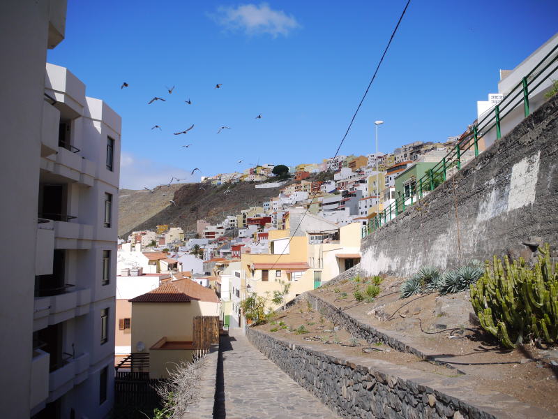 Pictures from Canary Islands