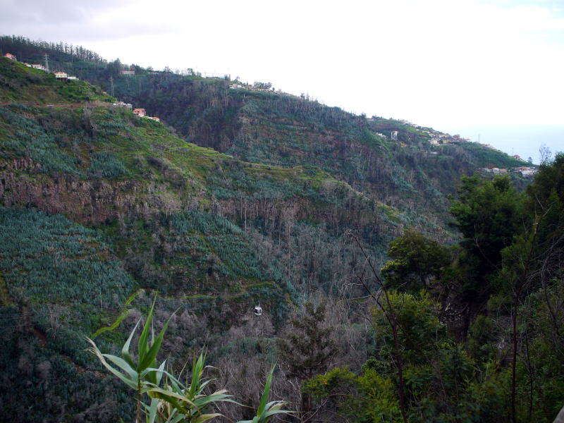 Pictures from the Madeira