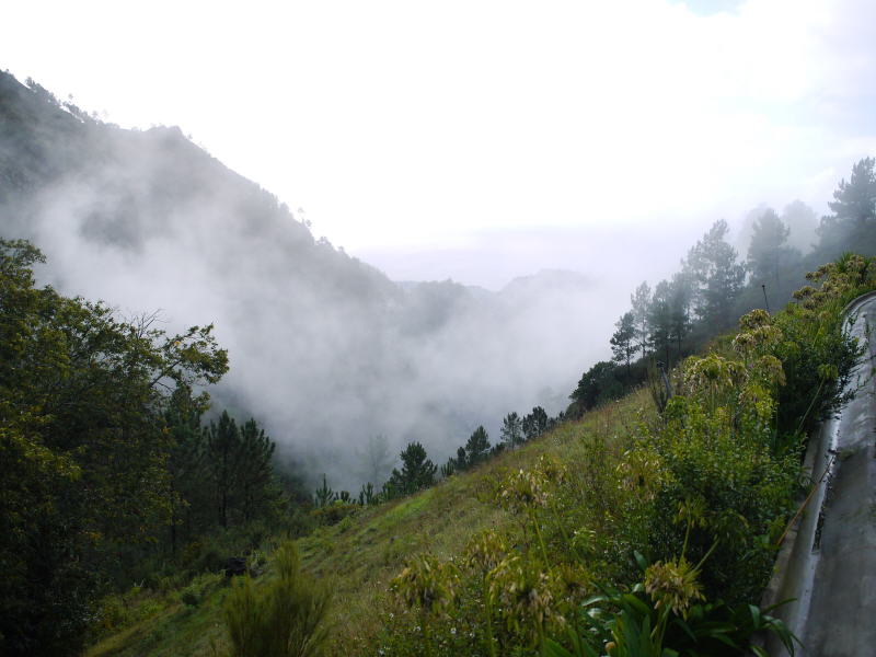 Pictures from the Madeira