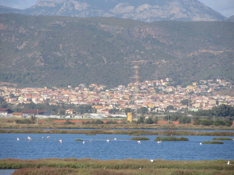 Pictures from Sardegna