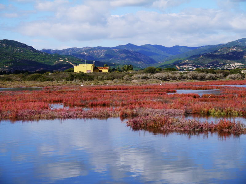 Pictures from Sardegna