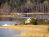 Pictures from Sweden