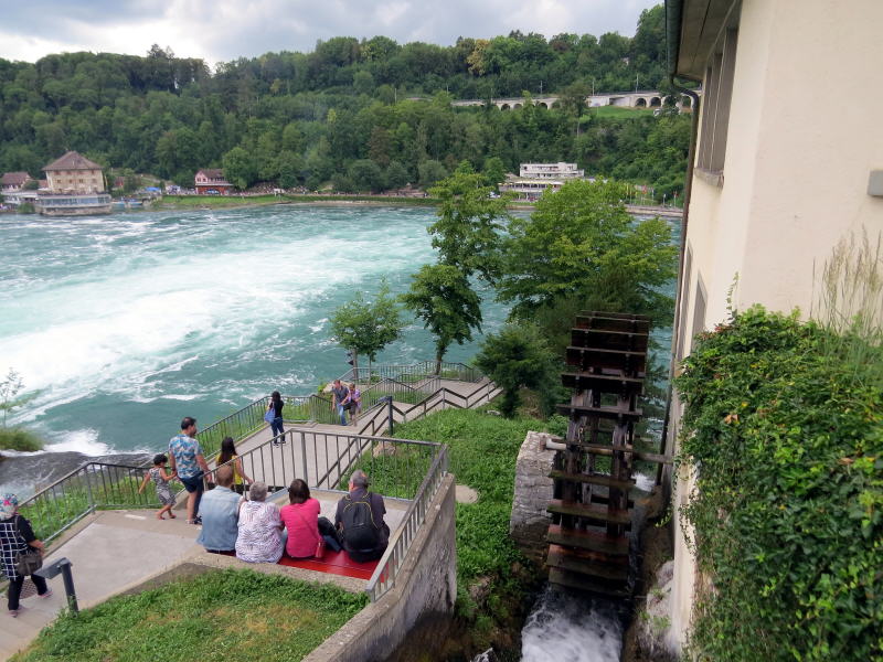 Rhine Falls