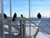 Pictures from the Switzerland