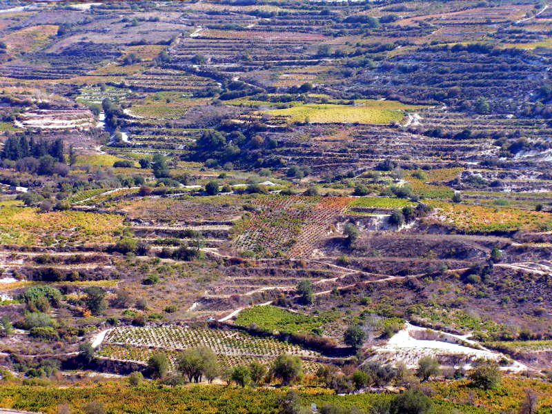 Pictures from Southern Cyprus