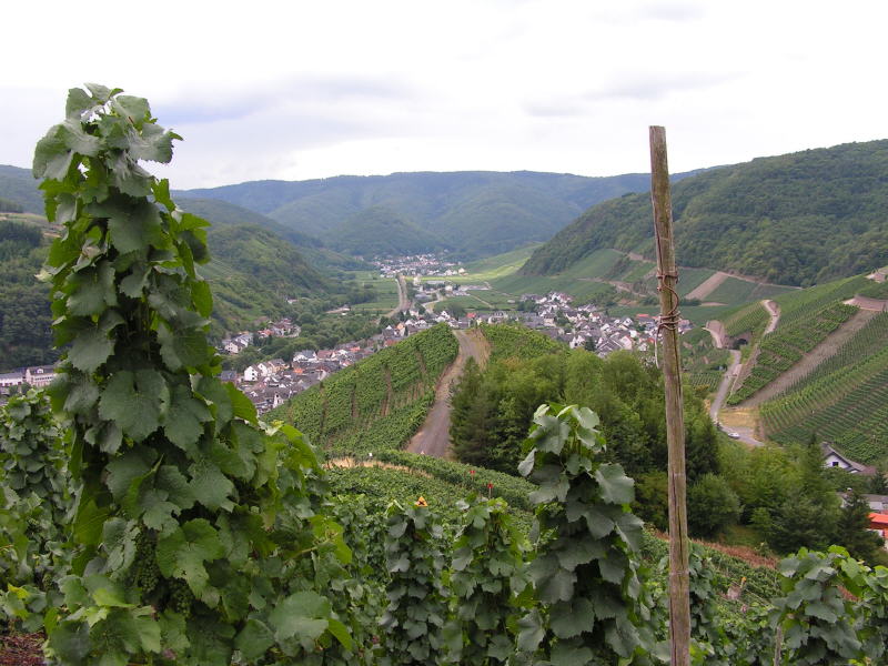 Pictures from Germany