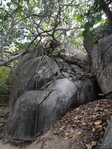 Pictures from British Virgin Islands