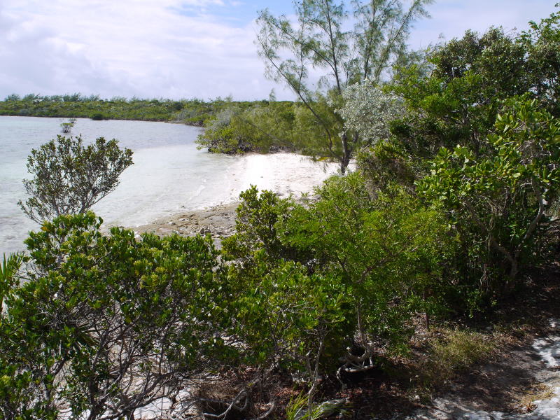 Bahamas