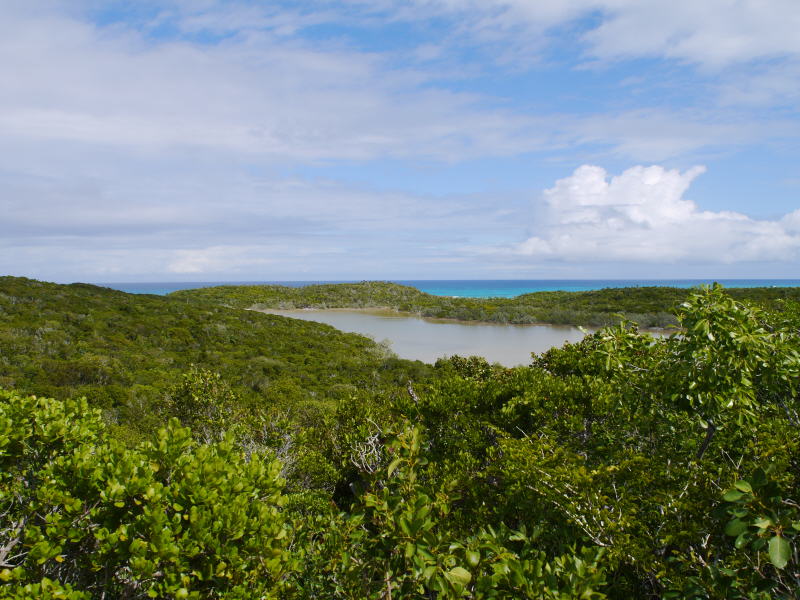 Bahamas