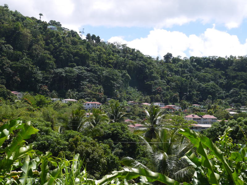 Dominica