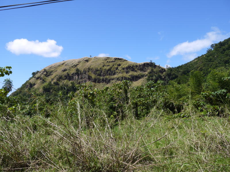 Dominica