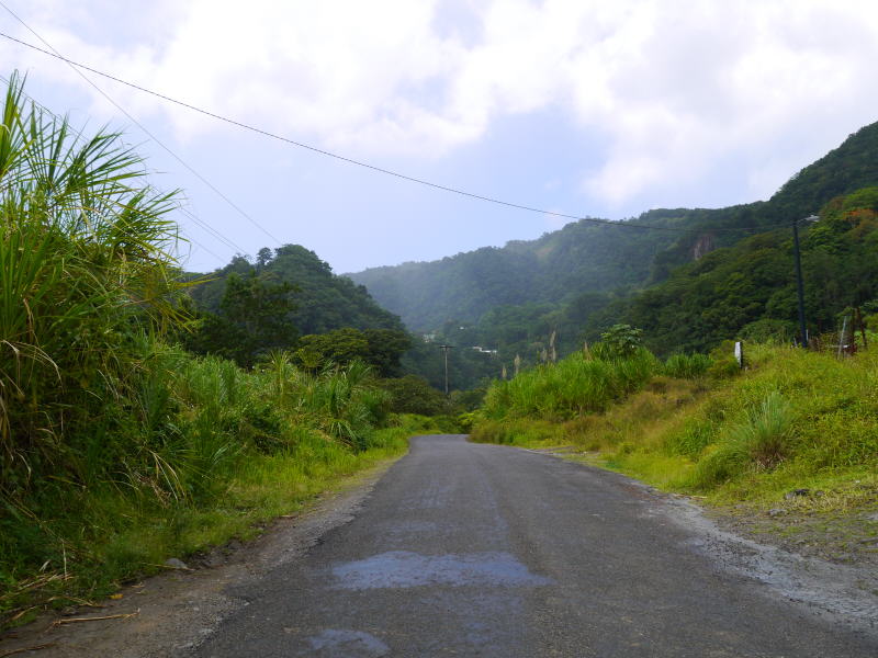 Dominica