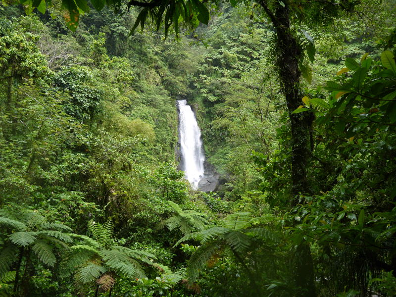 Dominica