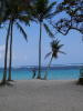 Pictures from Guadeloupe