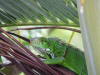 Pictures from Guadeloupe