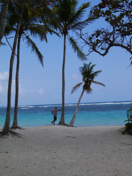 Guadeloupe
