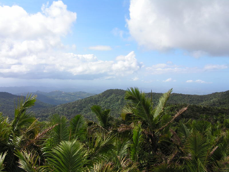 Puerto Rico