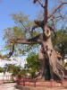 Pictures from Puerto Rico