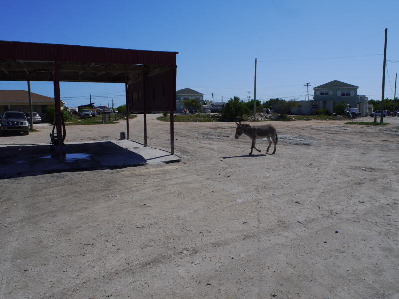Pictures from Grand Turk
