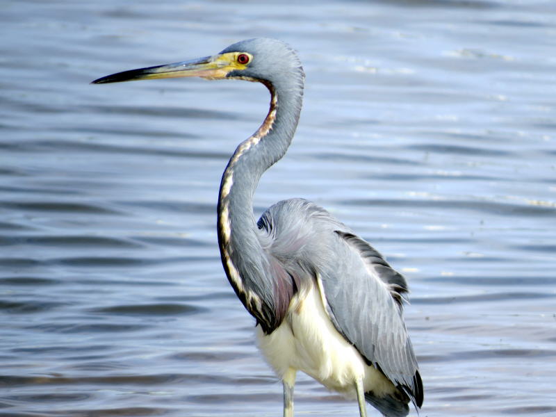 Pictures from Grand Turk