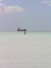 Pictures from Aruba