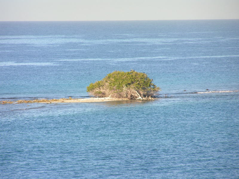 Pictures from Aruba