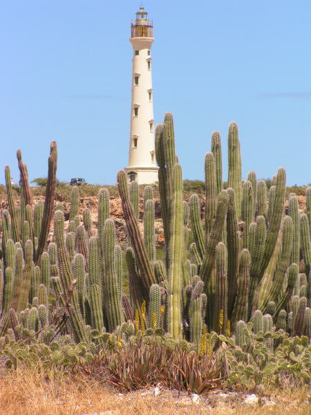 Pictures from Aruba