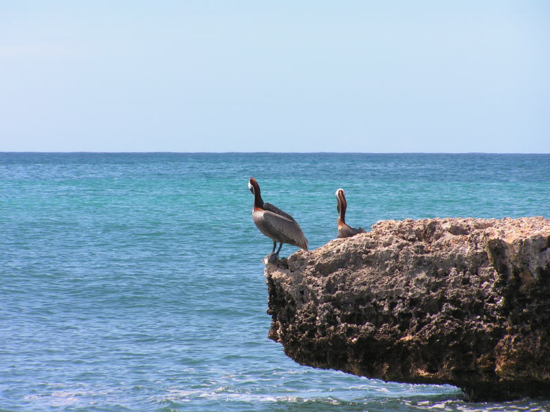 Pictures from Aruba
