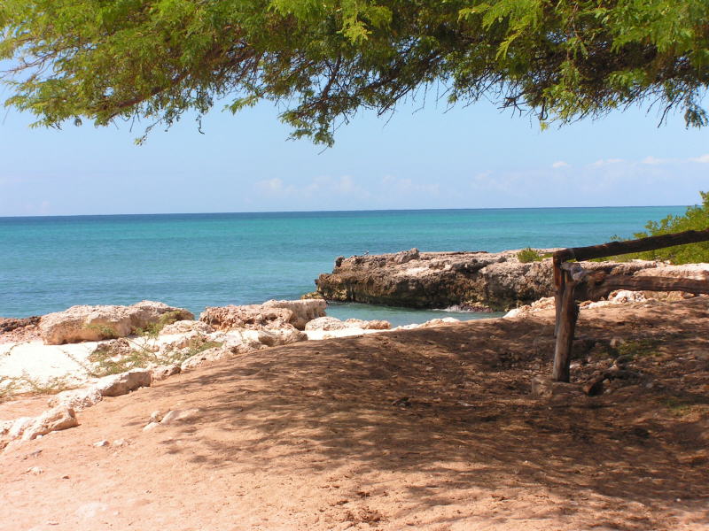 Pictures from Aruba