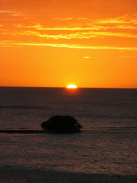 Pictures from Aruba