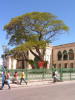 Barbados