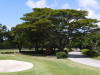 Pictures from Barbados