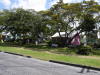 Pictures from Barbados