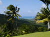 Pictures from Barbados