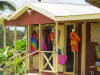 Pictures from Barbados